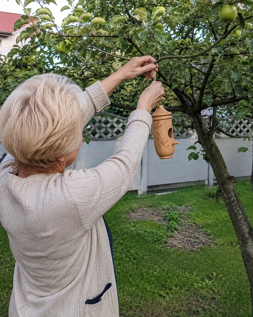 Karmnik Ostoja wieszany na gałęzi jabłoni